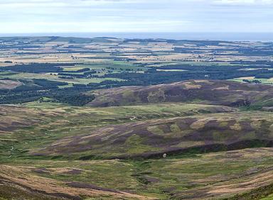 Lowland