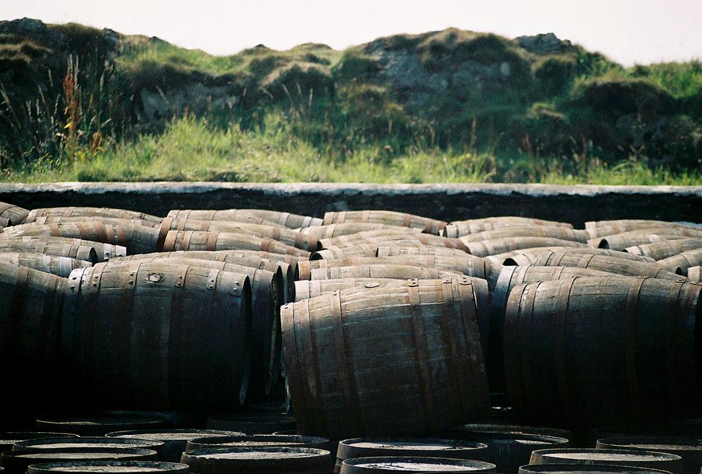 Understanding Whisky Cask Investment: A Beginner's Guide