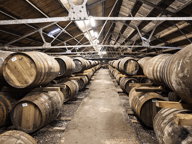 Buying Whisky Casks vs Cask Shares: Key Differences
