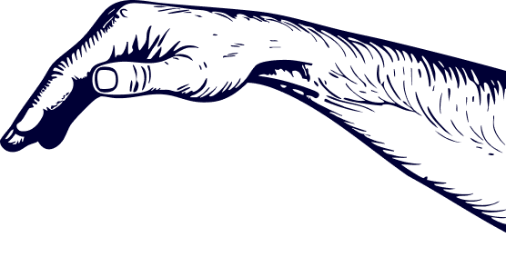 Top Hand Illustration